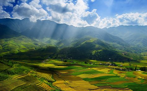 Yen Bai Province Vietnam #landscape #mountains #forest #1080P #wallpaper #hdwallpaper #desktop Gunung Fuji, All Hd Wallpaper, Field Wallpaper, Vietnam Voyage, Yamanashi, Vietnam Tours, Rice Fields, Image Nature, Halong Bay