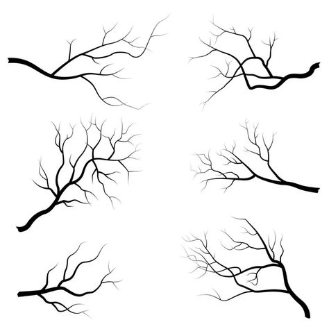 Tree branch set How To Draw Branches, How To Draw Tree Branches, Tree Branches Painting, Tree Branches Tattoo, Tree Branches Drawing, Draw Tree Branches, Tree Branches Art, Tree Branch Drawing, Branches Drawing