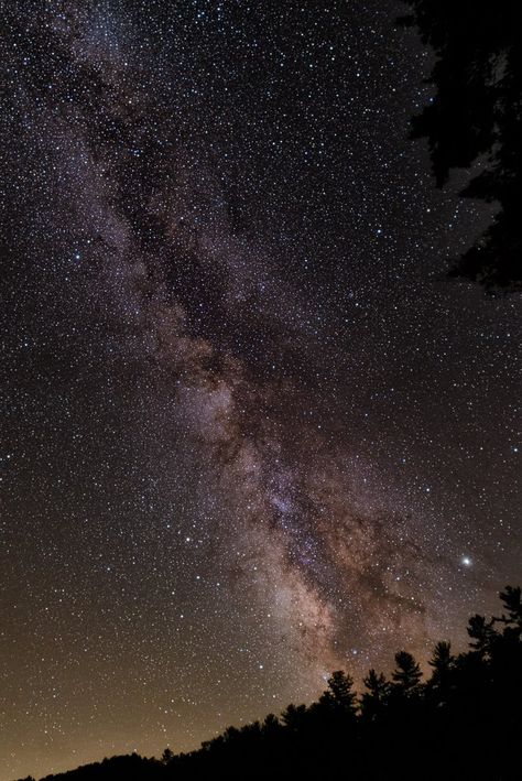 In the fall of 2021, Watoga State Park, Droop Mountain Battlefield State Park, and Cal Price State Forest received joint designation as an International Dark Sky Place. Diamonds In The Sky, Star Gazing, Nocturnal Animals, Light Pollution, Dark Sky, Sky View, Dark Skies, In The Fall, After Dark