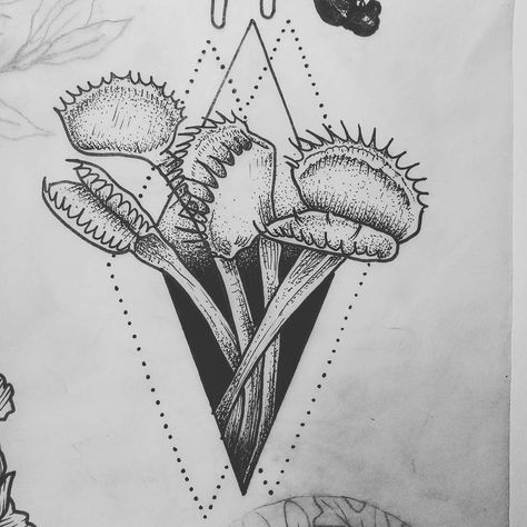 Flytrap Tattoo, Venus Flytrap Tattoo, Fly Trap Tattoo, Trap Tattoo, Tattoo Black And White, Birthday Tattoo, Venus Flytrap, Kunst Tattoos, Bug Tattoo