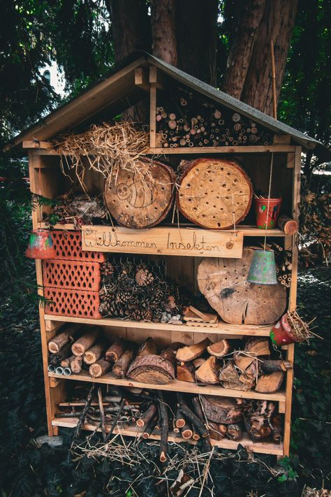 DIY insect hotels for the garden have become a popular way to help bees and pollinators, but do they really work? Are they good or bad for the pollinator garden? Visit the blog and read the article to learn more, and find out if an insect hotel is the best strategy for your pollinator garden design and layout. Diy Insect Hotel, Bee Garden Design, Bee Habitat, Bug Houses, Hotel Plants, Bee Hotels, Bug Hotels, Pollinator Garden Design, Bug House