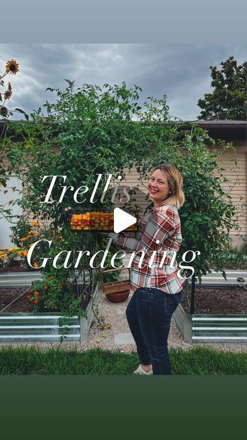 Mama Now What on Instagram: "DIY Tomato Trellis ~ Using Cattle Fencing 🍅🌿

🌱 Purchase cattle fencing panels from Tractor Supply

🌱Bend the fencing panels to form an arch shape

🌱Place each end of the bent panels into raised garden beds

🌱Secure the panels with stakes pounded into the ground

🌱Plant tomato plant at the base

🌱As the tomato plants grow, gently train them to climb the trellises

🌱Enjoy taller tomato plants, up to 8 feet tall, with support from the trellises

🌱Harvest ripe tomatoes easily under your rainbow! 

Get ready to watch your tomato plants thrive with this simple and effective DIY trellis solution! #DIYGarden #TomatoTrellis #GardeningHacks 🌱" Diy Tomato Trellis, Cattle Fencing, Veggie Farm, Dr Dog, Fencing Panels, Diy Lemonade Stand, Tomato Trellis, Cattle Panels, Arch Trellis