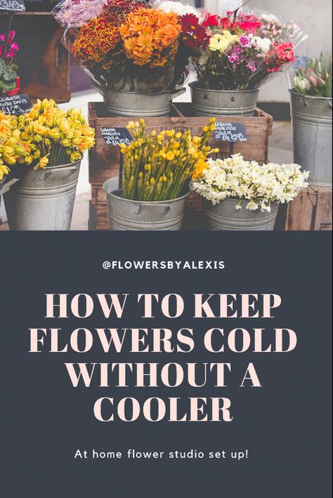 How to keep flowers cold without a cooler Florist Tools Organization, Flower Studio At Home, Flower Home Aesthetic, Basement Floral Studio, Flower Farmer Outfit, Walk In Flower Cooler, Flower Cooler Ideas, Florist Home Studio, Home Flower Shop