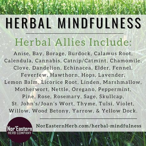 🌿 Discover the Power of Herbal Mindfulness now for 30% off! 🌿 Herbal Mindfulness is your gateway to integrating mindfulness practices with the energetic world of herbalism. 💫In this comprehensive course, you’ll explore: •39 herbal allies to enrich your practice •Guided meditations and journaling prompts •Exercises and activities to deepen your practice •And so much more! 🌟 What you’ll gain from this course: •A deep understanding of mindfulness and its practical implementation •Connection... Energetic Herbalism, Mindfulness Practices, Journaling Prompts, Enroll Now, Mindfulness Practice, Mindful Living, Guided Meditation, Journal Prompts, Personal Development