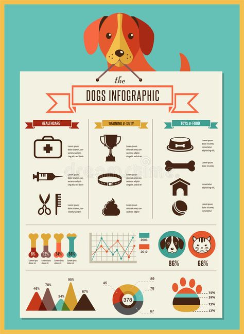 Dogs infographic and icon set. Dogs infographics - vector illustration and icon , #AFFILIATE, #icon, #infographic, #Dogs, #set, #illustration #ad Animal Infographic, Dog Infographic, Data Map, Dog House Diy, Dog Facts, Dog Obedience, Dog Training Obedience, Icon Set Vector, Diy Dog Stuff