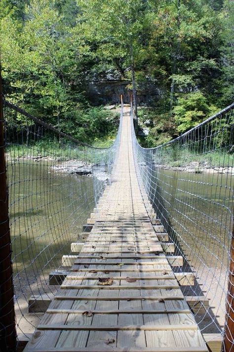 Located in Ritner, Kentucky, just on the outskirts of Daniel Boone National Forest, the newly restored Swinging Bridge is a unique adventure in this already adventurous area of our state. Kentucky Camping, Kentucky Vacation, Daniel Boone National Forest, Los Padres National Forest, Kentucky Travel, Swinging Bridge, West Coast Trail, Daniel Boone, Utah Hikes