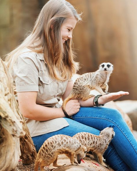 Zoology Career, Jobs With Animals, Zoo Veterinarian, Job Aesthetic, Vet Life, Irwin Family, Crocodile Hunter, Bindi Irwin, Animals Lover