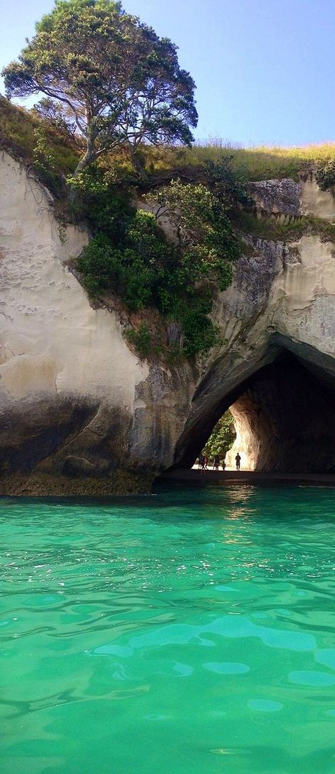 Coromandel Peninsula, Faithful Man, New Zealand North Island, Cathedral Cove, North Island New Zealand, Destination Vacation, New Zealand Adventure, Nz Travel, Visit New Zealand