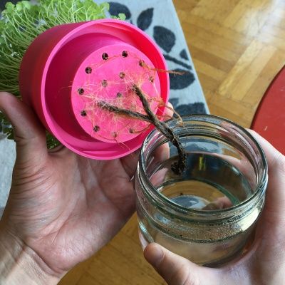 Diy Self Watering Planter Wick, Diy Self Watering, Diy Self Watering Planter, Empty Jar, Self Watering Planter, Small Planter, Diy Planters, Self Watering, Small Plants