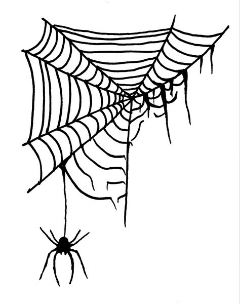 Worn out spiderweb cobweb with spider connected to the web. Cobweb Drawing, Spiderweb Design, Spiderweb Art, Spiderweb Drawings, Spider Sketch Easy, Spider Hanging From Web Tattoo, Spider Dropping From Web Tattoo, Spooky Line Art, Hanging Spider Drawing