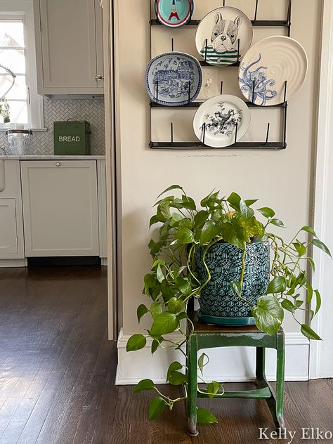 My Favorite Thrift Store of All Time - Kelly Elko Chair As Plant Stand, Thrifted Plant Stand, Houseplant Styling, Plant Chair, Aesthetic Study Desk, How To Decorate A Sideboard, Indoor Plant Stand Ideas, Plants Indoor Decoration, Chair Plant Stand