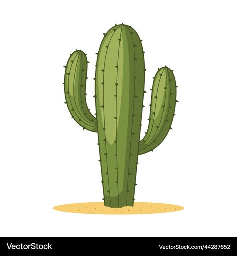 Cactus Cartoon, Cactus Vector, Cactus Illustration, Premium Vector, Png Images, Adobe Illustrator, White Background, Vector Images, Cactus