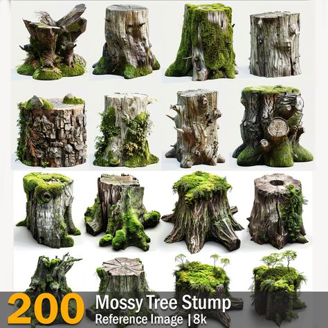 Mossy Tree Stump | Reference Images | 8k,  on ArtStation at https://www.artstation.com/artwork/49D2B4 Tree Stump Reference, Tropical Bushes, Isometric Tree, Forest And Beach, Stone Waterfall, Beach Trees, Nature Reference, Mossy Tree, Ohuhu Markers