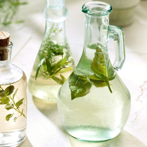 Basil Vinegar Recipe, Basil Vinegar, Basil Plant, Pint Jars, Herbal Infusion, White Wine Vinegar, Three Ingredient, White Vinegar, Test Kitchen