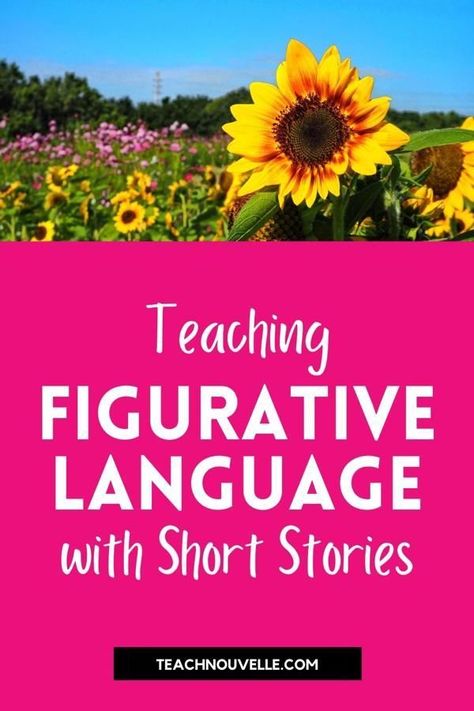 Looking for new, free texts for teaching figurative language? This post has short stories and other short texts your students will love! Figurative Language Middle School, Figurative Language Lessons, Figurative Language Activity, Teaching Figurative Language, 5th Grade Ela, Middle School Language Arts, Literary Devices, Middle School Reading, Cultured Stone