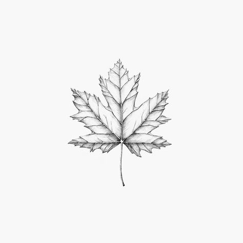 Nature Outline Tattoo, Maple Tattoo Leaf, Canada Leaf Tattoo, Tulip Tree Tattoo, Sycamore Leaf Tattoo, Tattoos Body Positivity, Canada Tattoo Ideas, Positivity Tattoos, Autumn Leaf Tattoo