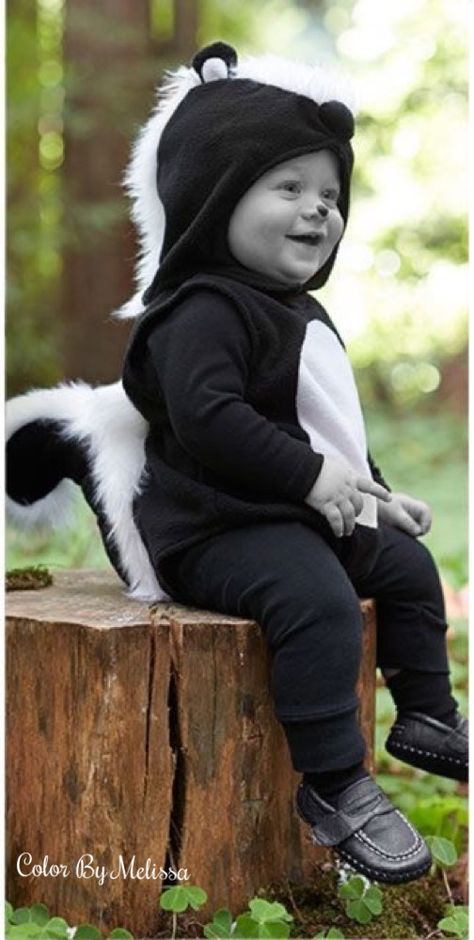 Baby Skunk Costume, Skunk Halloween, Diy Costumes For Boys, Skunk Costume, Baby Skunks, First Halloween Costumes, Halloween Kids Costumes Girls, Animal Halloween Costumes