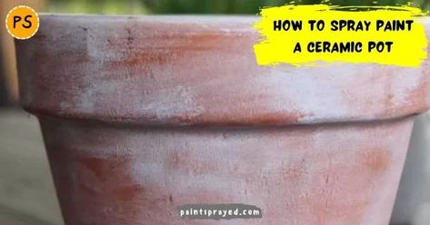 In this blog, we will discuss a few simple steps in spray painting a ceramic pot. If you follow these steps correctly, you will get the desired finish for your ceramic pot. How To Spray Paint, Basic Tools, Ceramic Pot, Spray Painting, Spray Paint, At Home, Spray, Paint, Ceramics