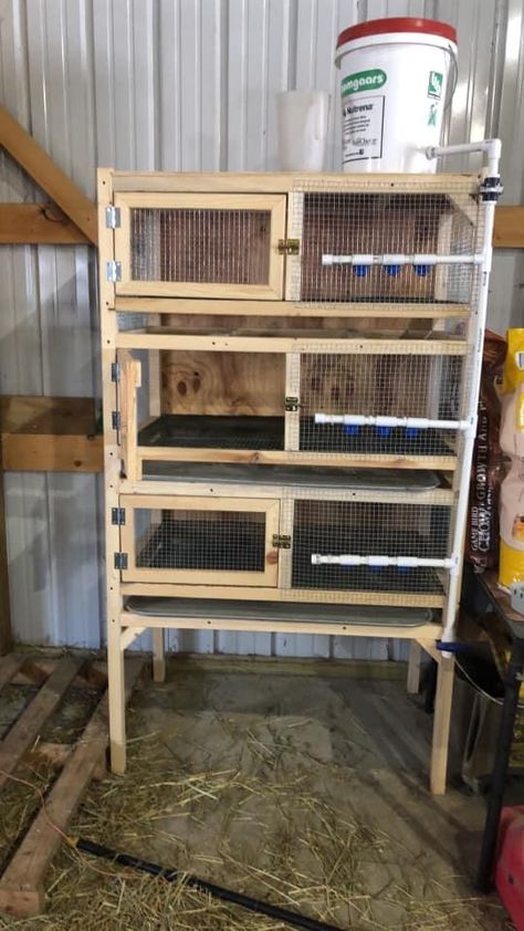 Quail House, Quail Cage, Quail Coop, Hen Coop, Raising Quail, Chicken Shed, Raising Farm Animals, Poultry House, Animal Cage