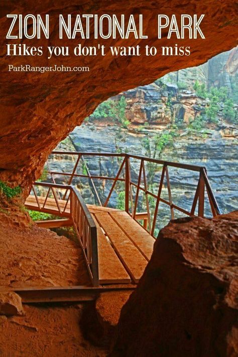 Hikes In Zion National Park, Zion National Park Photography, National Park Hikes, Zion National Park Hikes, Utah National Parks Road Trip, National Parks America, Trip To Grand Canyon, Utah Vacation, The Narrows