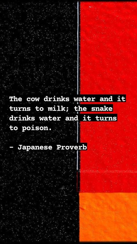 The cow drinks water and it turns to milk; the snake drinks water and it turns to poison. - Japanese Proverb Japanese Proverbs Quotes, Quotes Magic, Japanese Proverbs, Business Principles, Quotes By Language, Proverbs 2, Proverbs Quotes, The Cow, The Snake