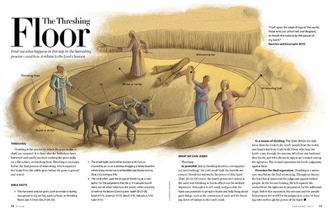 The Threshing Floor - Ensign September 2017 - ensign Floor Quotes, Esther Bible Study, Bible Evidence, Bible Maps, Esther Bible, Threshing Floor, Christ Painting, Bible Mapping, Jesus Christ Painting