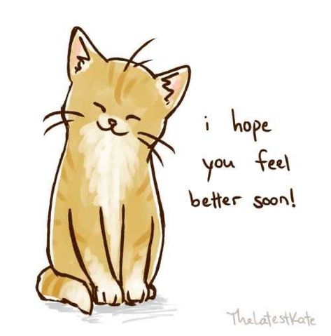 Cute Cat Messages, Cat Messages, Get Well Soon Cat, The Latest Kate, Latest Kate, Hope Youre Feeling Better, Stay Awesome, Cute Motivational Quotes, Feel Better Soon