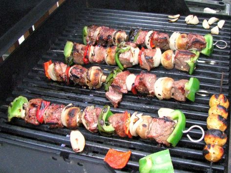 Australian Crocodile Skewers (or US Gator Kebabs) Recipe Easy Campfire Meals, Hand Guide, Bulgaria Food, Grilling Kabobs, Shish Kebab, Africa Food, Easy Camping Meals, Skewer Recipes, Kebab Recipes