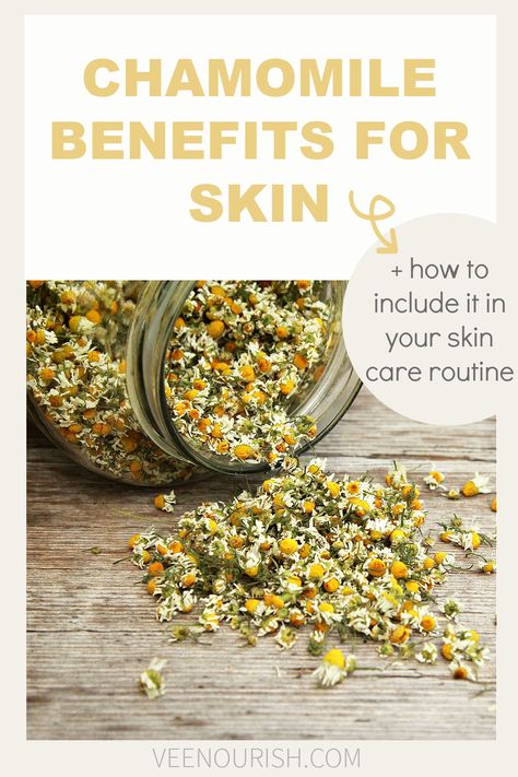 Chamomile For Skin, Chamomile Skin Benefits, Chamomile Oil Benefits, Chamomile Essential Oil Benefits, Chamomile Benefits, Chamomile Recipes, Benefits Of Chamomile, Beeswax Products, Chamomile Tea Benefits