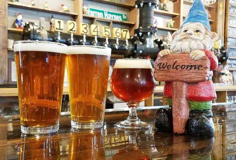 Best Breweries in Denver: Where to Drink Craft Beer in Denver - Thrillist Denver Colorado Mountains, Denver Breweries, Denver Travel, Visit Denver, Road Trip To Colorado, Explore Colorado, Visit Colorado, Micro Brewery, Beer Tasting