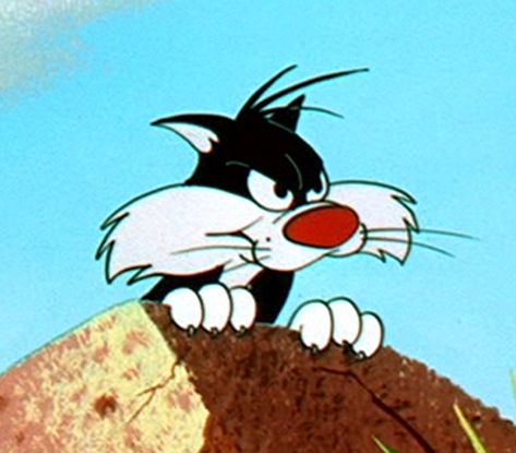 Looney Tunes Sylvester face Pike Art, Warner Brothers Cartoons, Looney Tunes Sylvester, Angry Cartoon, Cartoons Group, New Looney Tunes, Bob Marley Art, Sylvester The Cat, Looney Tunes Show