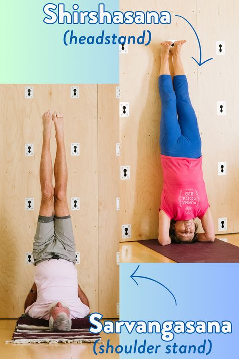 Two yoga students demonstrate Shirshasana (headstand) and Sarvangasana (shoulder stand). Shirshasana Steps, Ustrasana Sequence, Titibasana Sequence, Slow Flow Yoga Sequence Asana, Utthita Parsvakonasana, Shoulder Stand, Yoga Poses, Yoga