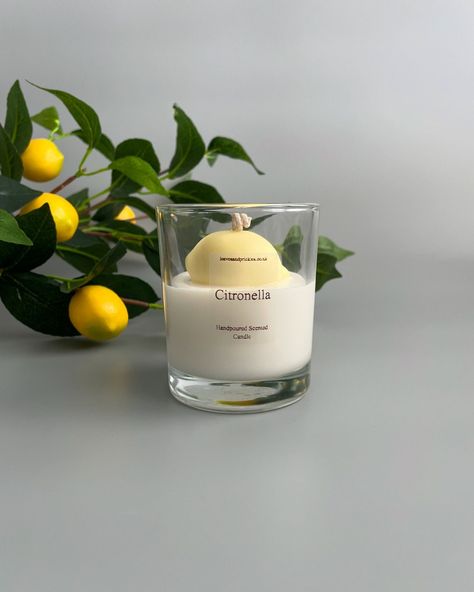 leaves and prickles ® - terrarium candles and gifts | If you are living in the UK, you are probably suffering from summer blues 🌦️ How about a lemon candle to cheer you up? 😊🍋 packed with… | Instagram Mediterranean Holiday, Terrarium Candle, Living In The Uk, Citronella Essential Oil, Natural Bug Repellent, Natural Repellent, Summer Blues, Lemon Candle, Summer Candles