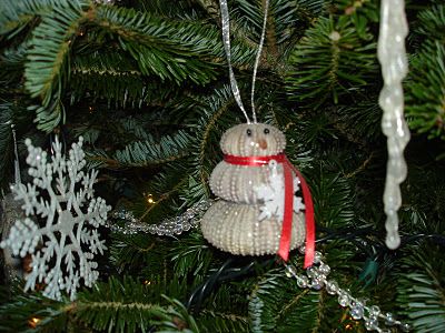 sea urchin "snowman" Sea Urchin Crafts, Sea Urchin Ornaments, Sea Urchin Shells, Cooking Crafts, Crafts Photography, Beach Glass Crafts, Sea Crafts, Coastal Christmas, Ocean Theme