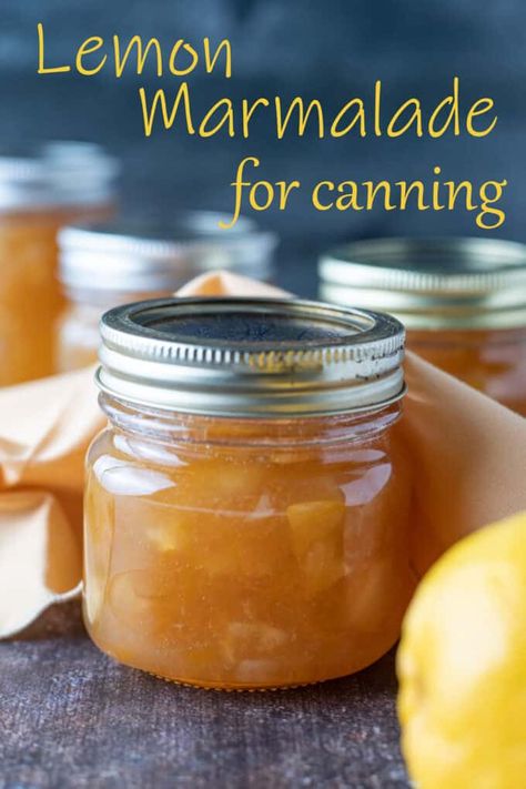 Canning Lemons, Canning Pie Filling, Can Can Girl, Fruit In Jars, Best Lemon Desserts, Canning Instructions, Making Marmalade, Lime Marmalade, Homemade Marmalade