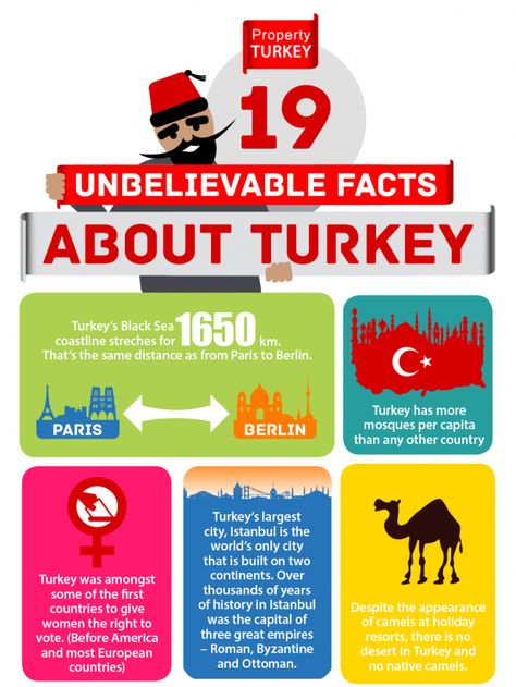 I've found this infographic this very morning while I was planning my trip to Turkey. It features 19 interesting and fun facts about the country. My favorite is the turkey bird one at the end :D #travel #turkey #infographic Visiting Turkey, Turkey Facts, Turkey Culture, Turkey History, Turkey Project, Turkey Bird, Republic Of Turkey, Travel Turkey, Visit Turkey