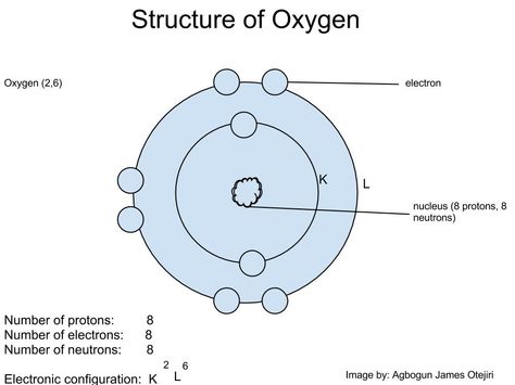 Structure of the oxygen atom showing its electronic configuration. Electronic Configuration, Electron Configuration, Atomic Structure, Atom, Homework, Piercings, Electronics, Writing, Tattoos