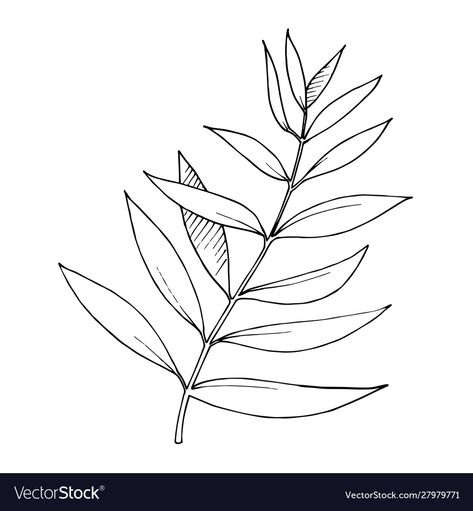 Hawaiian Leaf, Hawaiian Summer, Floral Foliage, Branch Vector, Leaf Plant, Eucalyptus Leaves, Digital Flowers, Graphic Artist, Ink Art