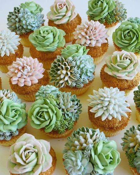 Edible Succulents, Cactus Cupcakes, Succulent Cupcakes, Succulent Cake, Fancy Cupcakes, Buttercream Cupcakes, Floral Cupcakes, Cupcake Bouquet, Buttercream Flowers