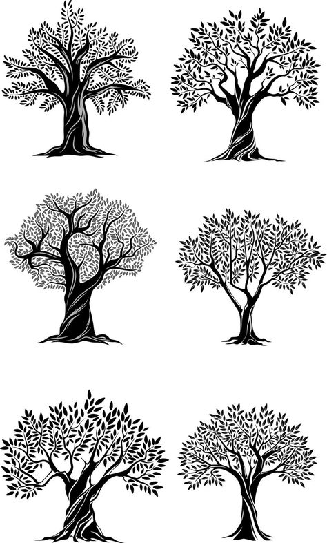 Family Name Tattoos, Drawing Silhouette, Tree Drawings Pencil, Sycamore Tree, Bodhi Tree, Tree Clipart, Tree Artwork, Wall Drawing, Silhouette Png