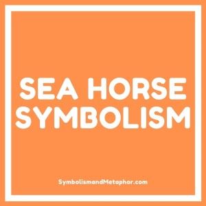 Seahorse Meaning, Horse Puns, Male Seahorse, Water Symbol, Seahorse Tattoo, Best Swimmer, Seahorse Necklace, Sea Horses, Hag Stones