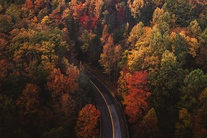 October Calendar Wallpaper, Fall Playlist, Best Weekend Trips, October Calendar, Leaf Peeping, Gatlinburg Tennessee, Her Campus, Forest Road, Voyage Europe