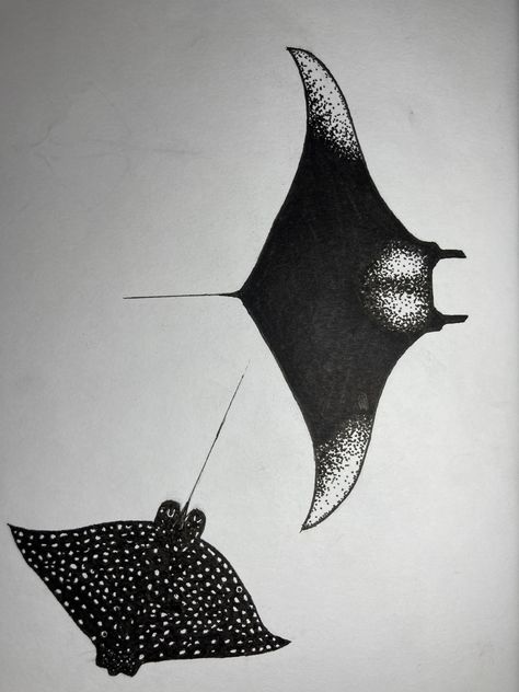 Tattoo Stingray, Manta Ray Drawing, Stingray Tattoo, Ray Tattoo, Ocean Art Painting, Eagle Ray, Cute Tats, Tattoo Stencil Outline, Dot Work Tattoo