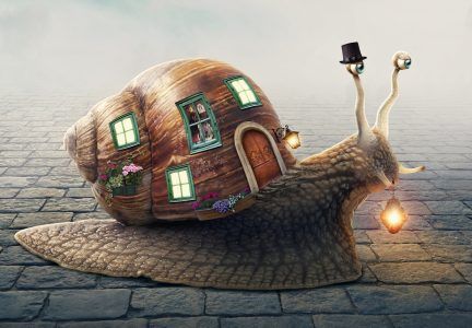 Snail Home Jigsaw Puzzle Snail Home, Snail House, Snail Image, Snail Tattoo, Back Drawing, Snail Art, Pottery Animals, Pottery Houses, Snail Shell