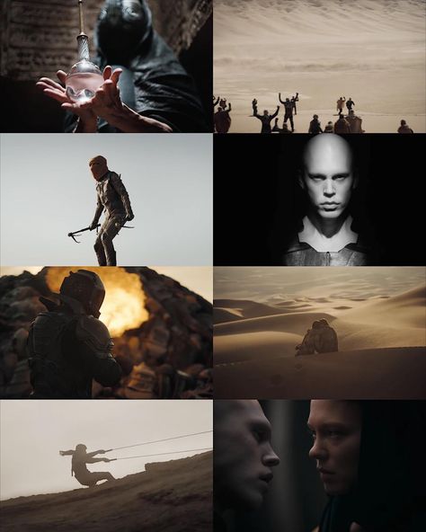 Dune: Part Two (2023)⁣⁣
Dir: Denis Villeneuve⁣⁣
DP: Greig Fraser Color In Film, Dune Part Two, Dune Frank Herbert, Beautiful Cinematography, Filmmaking Cinematography, One Step Beyond, Paul Atreides, Denis Villeneuve, Pretty Images