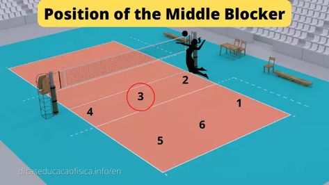 Middle Blocker in Volleyball: Role and Movements Middle Blocker Volleyball, Physical Education, The Court, Tennis Court, The Middle, Volleyball, Basketball Court, Physics, Tennis