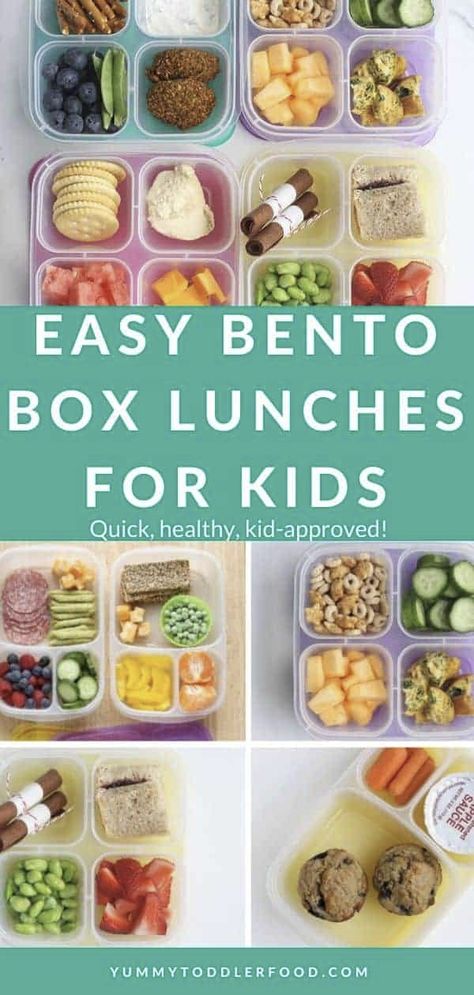 Daycare Bento Box Lunch Ideas, Lunch Ideas For Daycare Kids, Healthy Cold Lunches For Kids, Bento Box Kids Lunch Ideas, Easy Lunch Toddler, Lunch Box Snacks For Kids, Preschool Lunch Ideas For School, Toddler Bento Box Ideas, Bento Box School Lunch Ideas For Kids