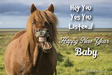 Happy New Year Funny SMS, Wishes & Messages | Best Wishes Funny New Years Memes, Laughing Horse, Happy New Year Baby, Happy New Year Funny, Funny Wishes, Funny Sms, Horse Box, Funny New Year, New Year Gif