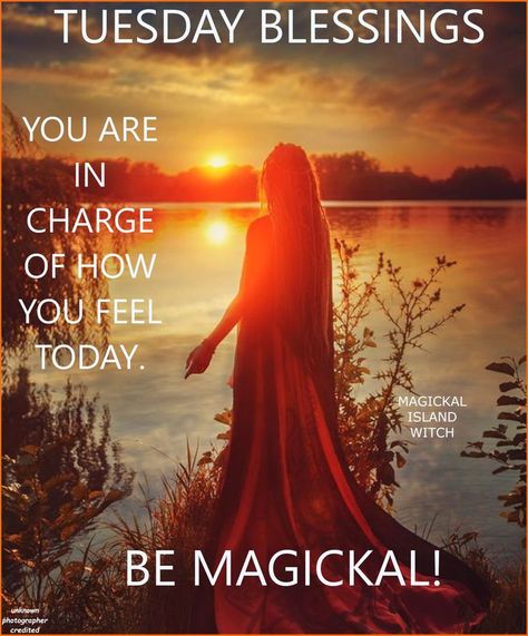 Tuesday Magick, Tea Magic, Tuesday Blessings, Week Quotes, Witch Bottles, Witch Quotes, Tuesday Quotes, Witch Stuff, Daily Reading