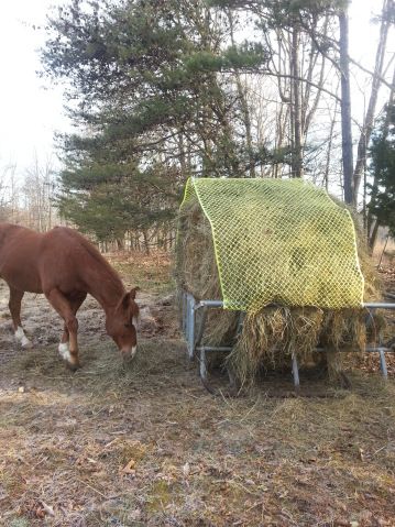 Our hay saver Hay Feeder, A Donkey, The Cradle, Horse Stuff, Wicker Chair, Ways To Save Money, Ways To Save, Stables, The Winter